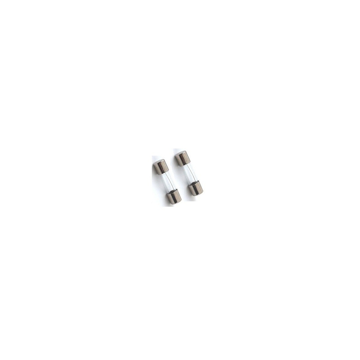 FUSIVEL - T RETARDO 5X20MM-   2A