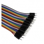 CABO JUMPER - MACHO/MACHO - 20 CM  -JUMPER 40 VIAS