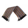 CABO JUMPER - FEMEA/FEMEA - 20 CM  -JUMPER 40 VIAS