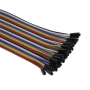 CABO JUMPER - FEMEA/FEMEA - 20 CM  -JUMPER 40 VIAS